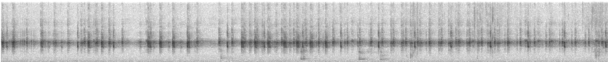 Southern Cricket Frog - ML506567231