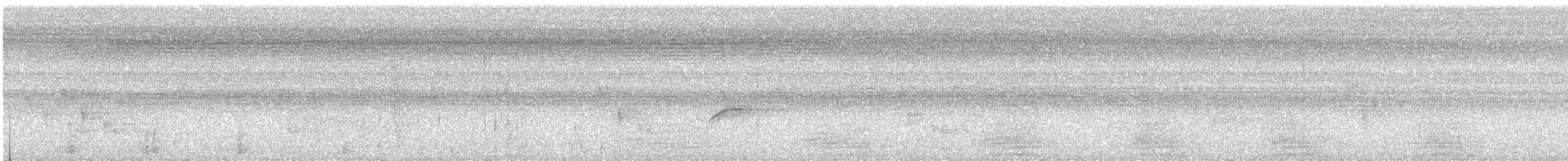 American Bullfrog - ML506567291