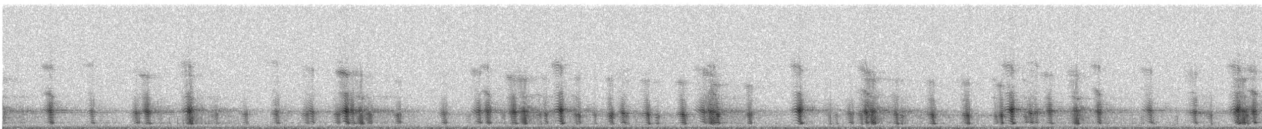 Atlantic Coast Leopard Frog - ML506567961