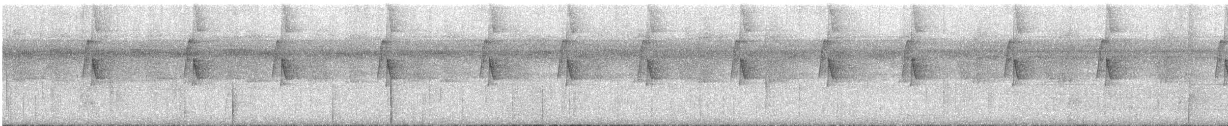 Большеклювый колибри-отшельник - ML506574321
