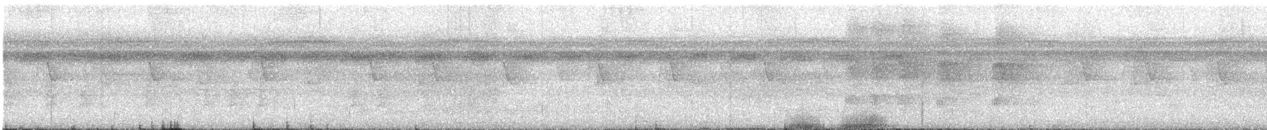 Большеклювый колибри-отшельник - ML506574341