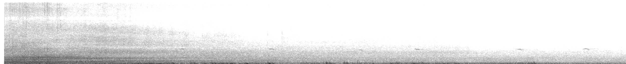 gråsolitærtrost - ML506613121