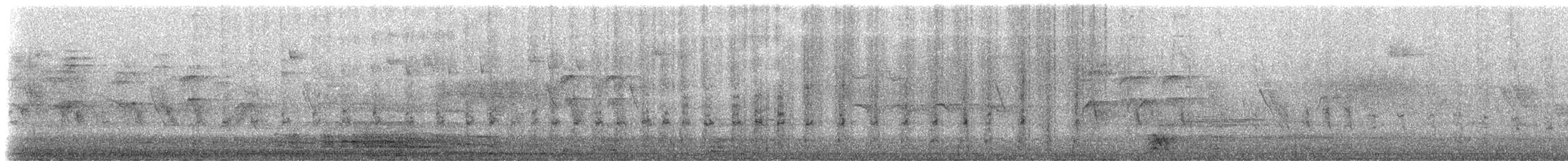 Fleckentaube (albipennis) - ML506649301