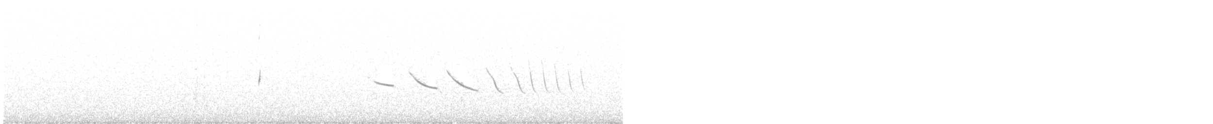 Короткокрылый гаучо (micropterus) - ML506657321