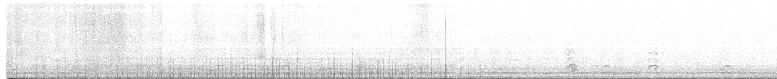 Trumpeter/Tundra Swan - ML506813991