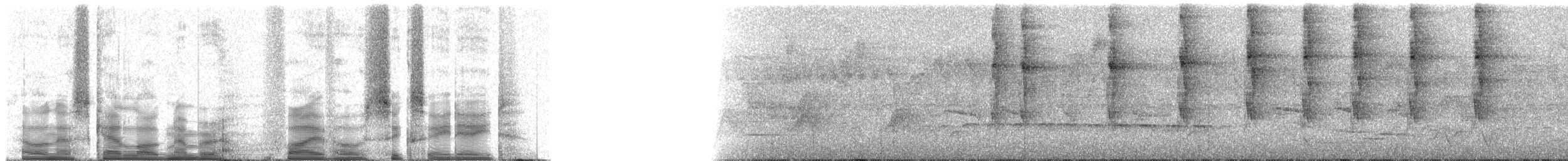 okerbrilleløvgransker (temporalis) - ML50688