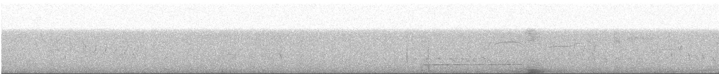 Tinamou superbe - ML506884111