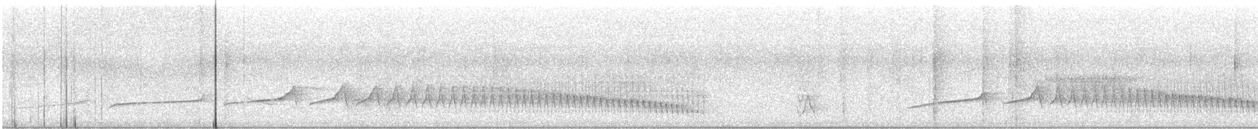 Bluish-slate Antshrike - ML506912971