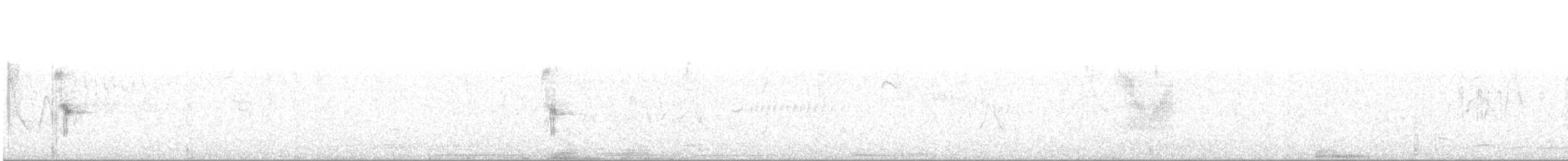 Weißflanken-Dunkeltyrann - ML506914831
