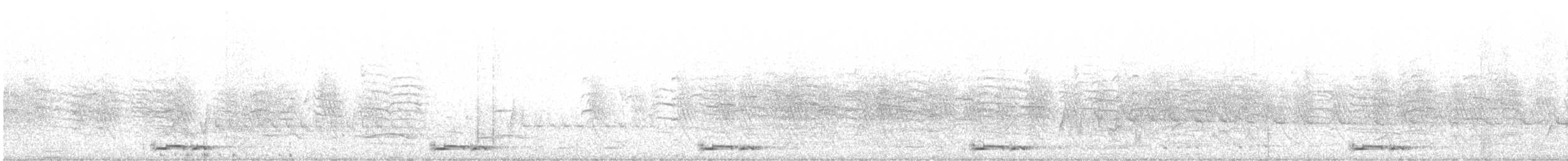 holoubek proužkokrký - ML506960491