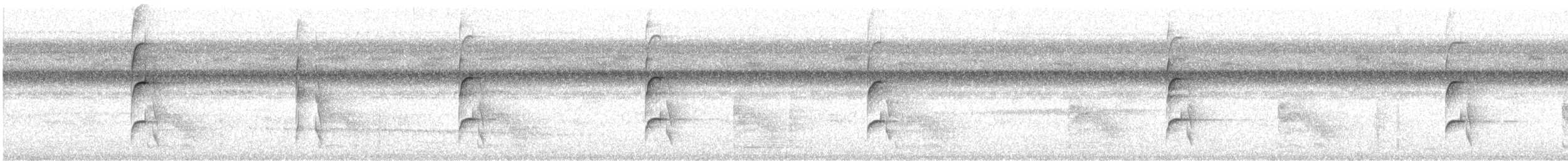 White-eared Jacamar - ML507059651