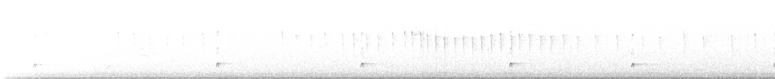 Ash-throated Flycatcher - ML507088081