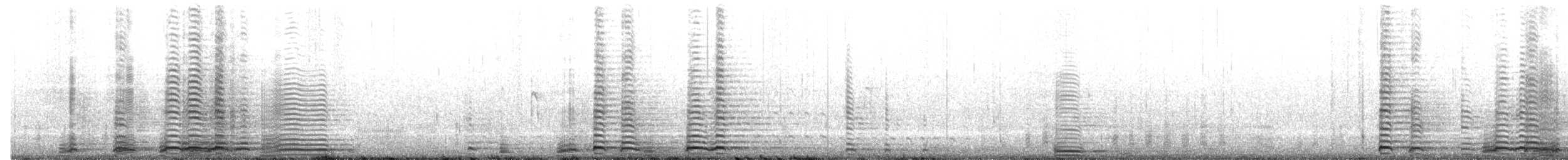 Trompeterschwan - ML507105371