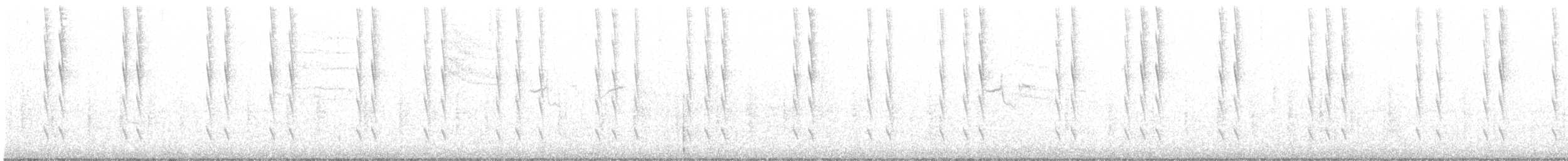 Kara Boğazlı Kolibri - ML507116601