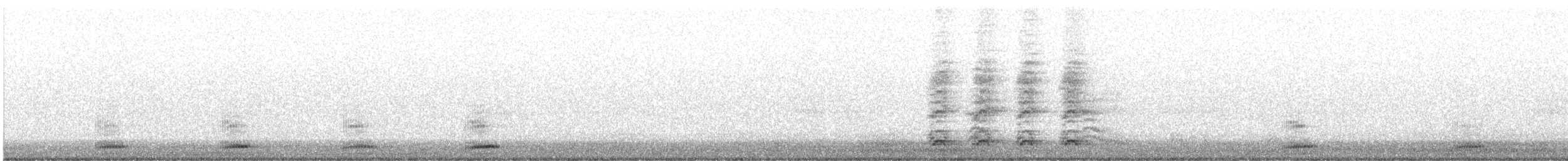 Common Raven - ML507131381