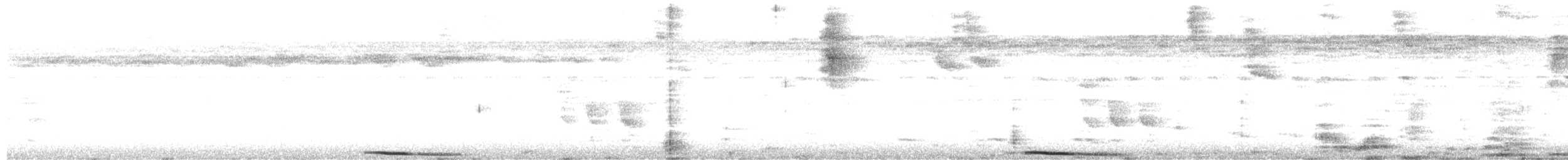 holub dariénský - ML507141521