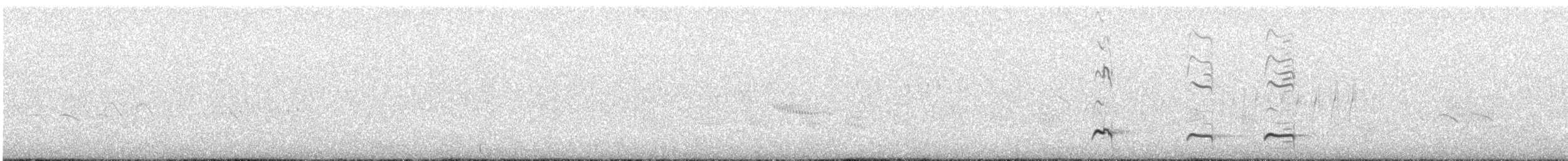 Tawny Antpitta - ML507192101