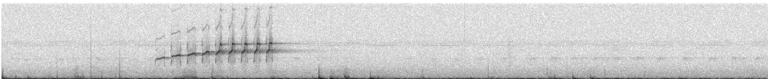 Semicollared Hawk - ML507207061