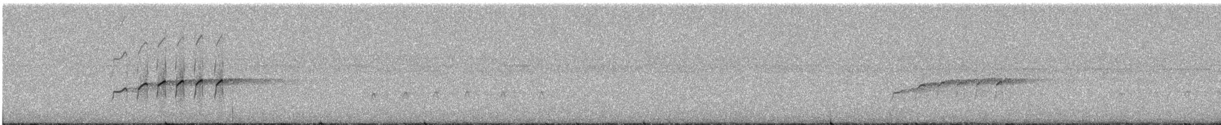 Semicollared Hawk - ML507207111