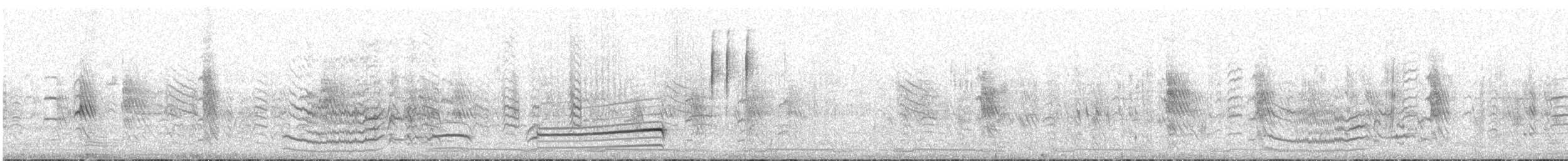 Codorniz de Tasmania - ML507221691