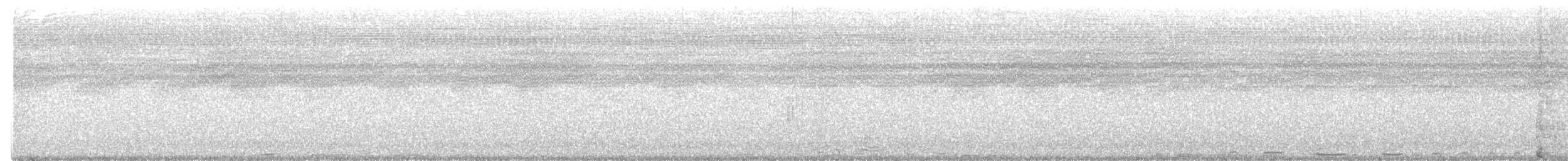 holub písmenkový - ML507223501