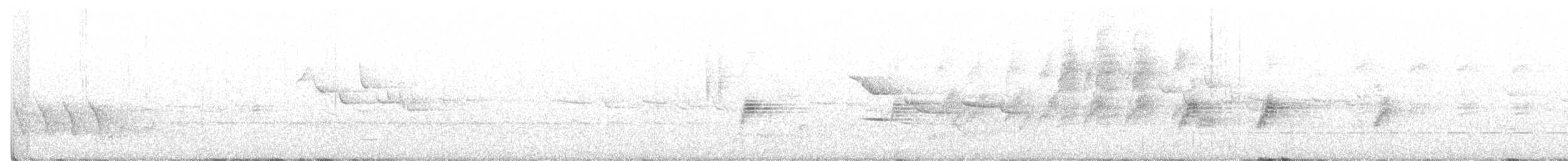 クロオビミツスイ - ML507279511