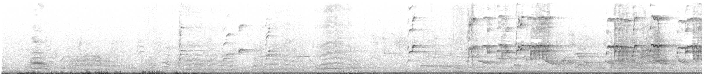 紐澳紅嘴鷗 - ML507285311