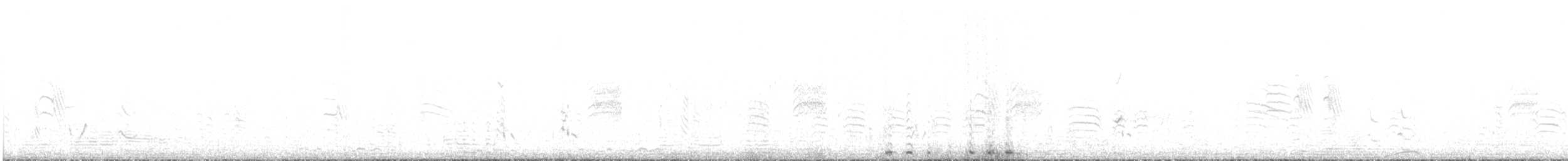 holub harlekýn - ML507350221