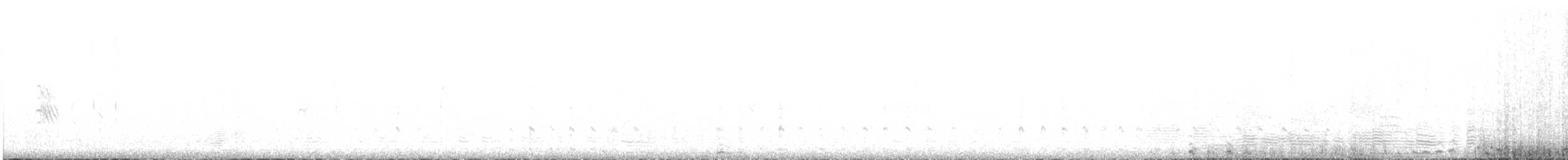 holub harlekýn - ML507350231