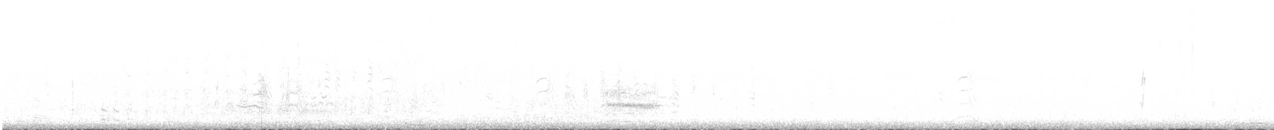holub harlekýn - ML507350241