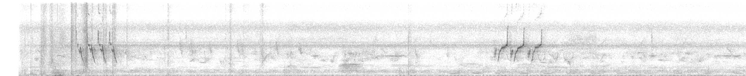Weißbrauenstelze - ML507395351