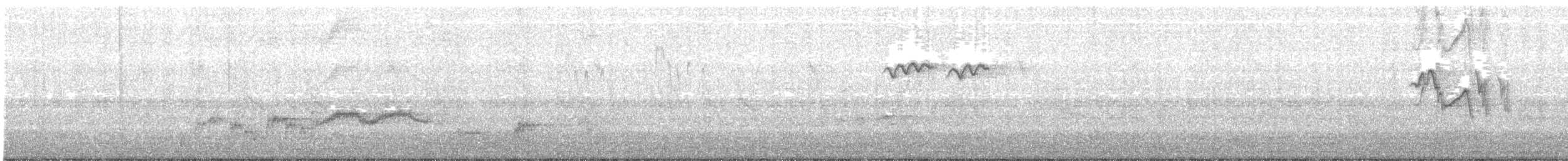 Kuzeyli Drongo Sinekkapanı - ML50748871