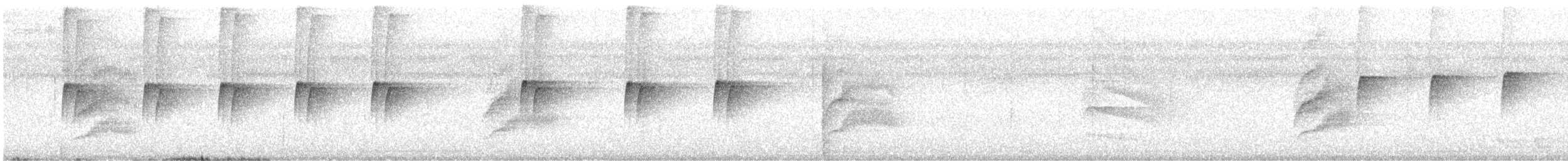 Мухолов-клинодзьоб плямистий - ML507502621