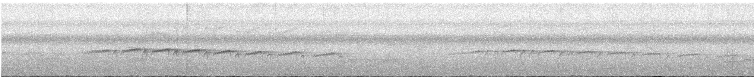 Мурав’янка-куцохвіст плямиста - ML507522141
