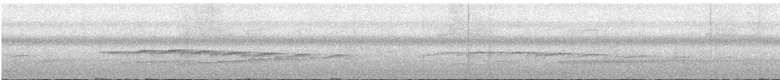 Мурав’янка-куцохвіст плямиста - ML507523621