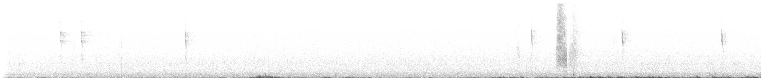 Тихоокеанский крапивник - ML507558741