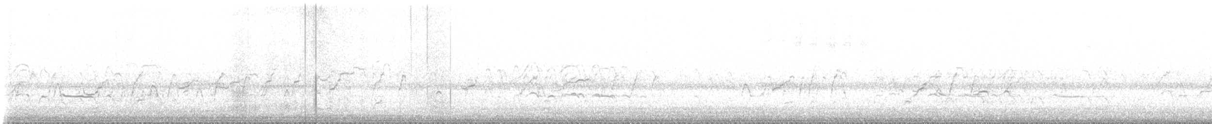 Kara Karınlı Islıkçı Ördek - ML507598251