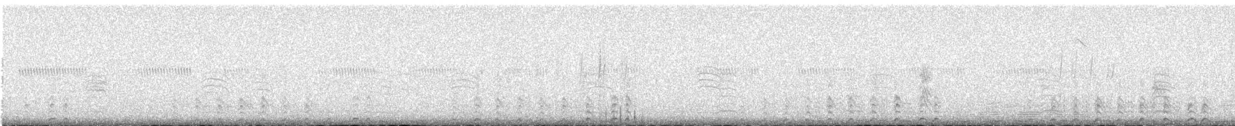 holub harlekýn - ML507613671