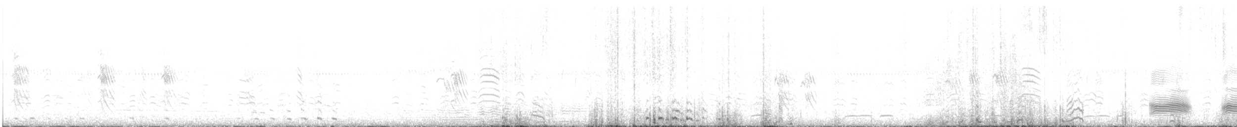 holub harlekýn - ML507613681