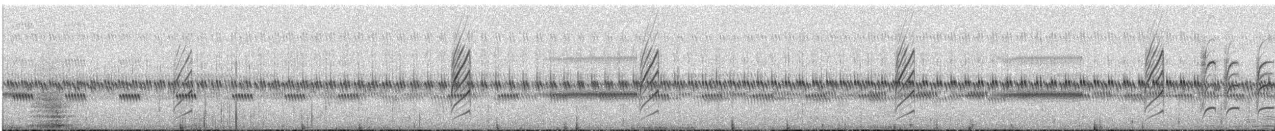 Goldstirn-Trugschmätzer - ML507644551