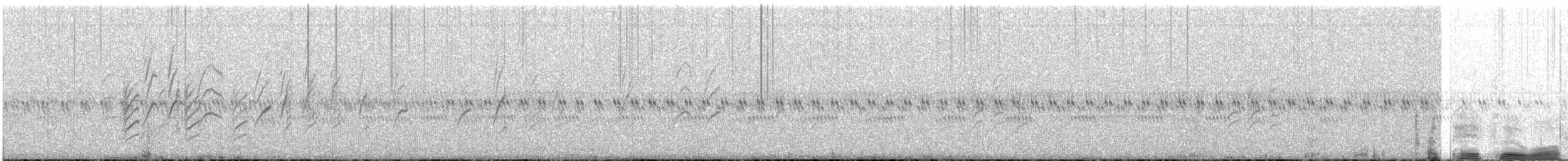 Goldstirn-Trugschmätzer - ML507644561