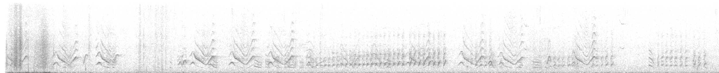 hvitskjegglattertrost - ML507739981