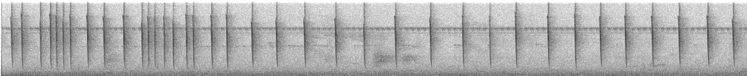 Graubrust-Degenflügel - ML507748281