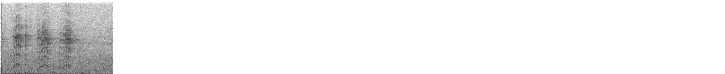 Black-and-white Tody-Flycatcher - ML507749181