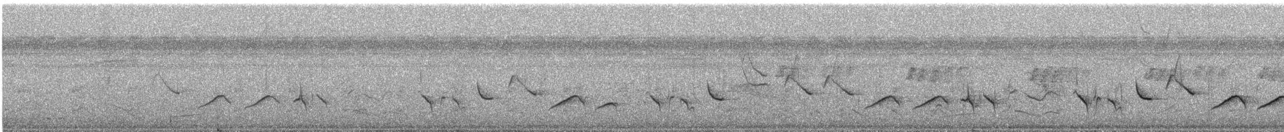 Black-billed Seed-Finch - ML507751011