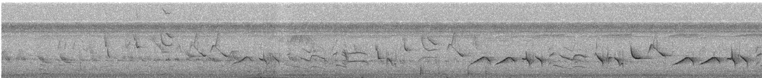 Black-billed Seed-Finch - ML507751021