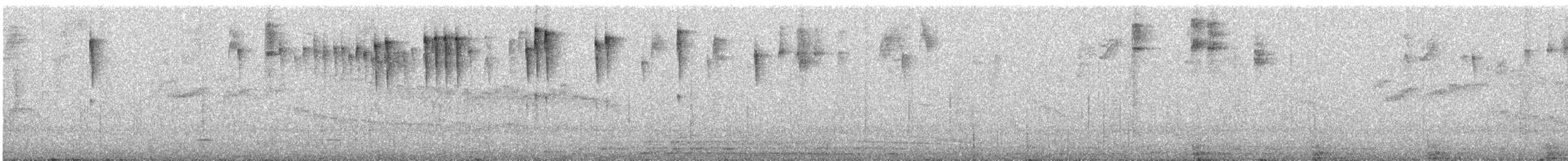 perlestammeløper - ML507812651