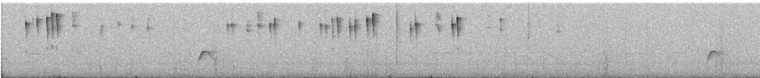 perlestammeløper - ML507812661