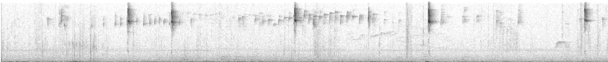 Tyranneau à sourcils blancs - ML507812901