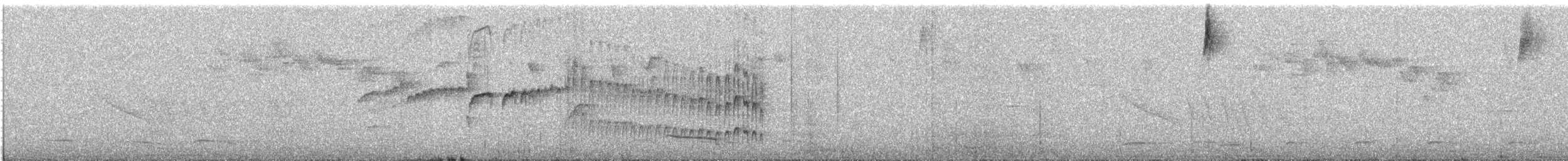 Weißbinden-Tachurityrann - ML507812911